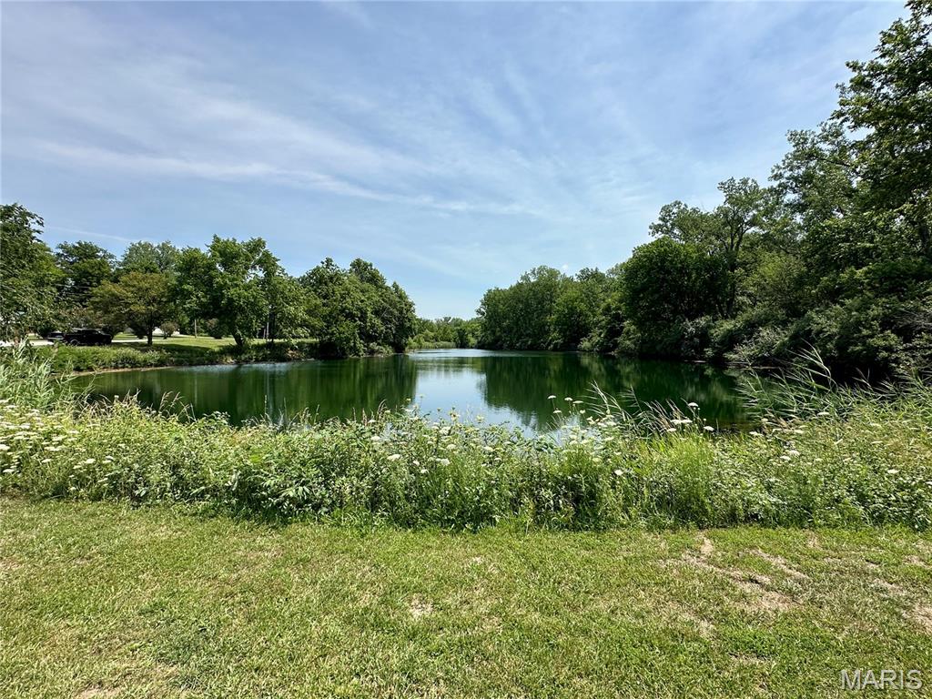 9345 Schaller Road Lenzburg, IL 62255 - Photo 5 of 31