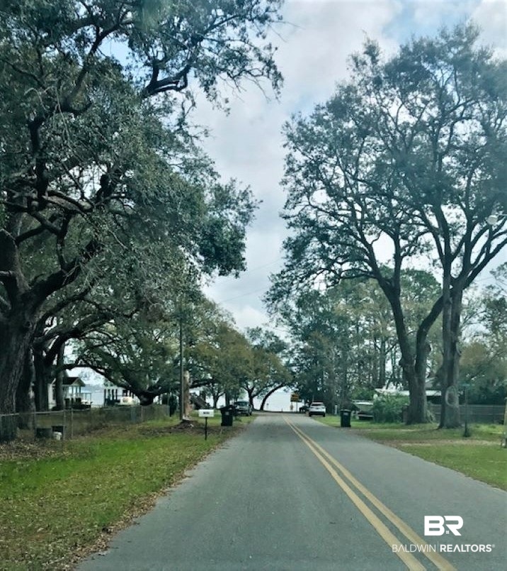13013 5th Street Lillian, AL 36549 - Photo 19 of 19 Water View