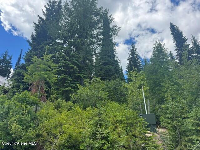 Nna Tall Timber Road Sandpoint, ID 83864 - Photo 4 of 10 7