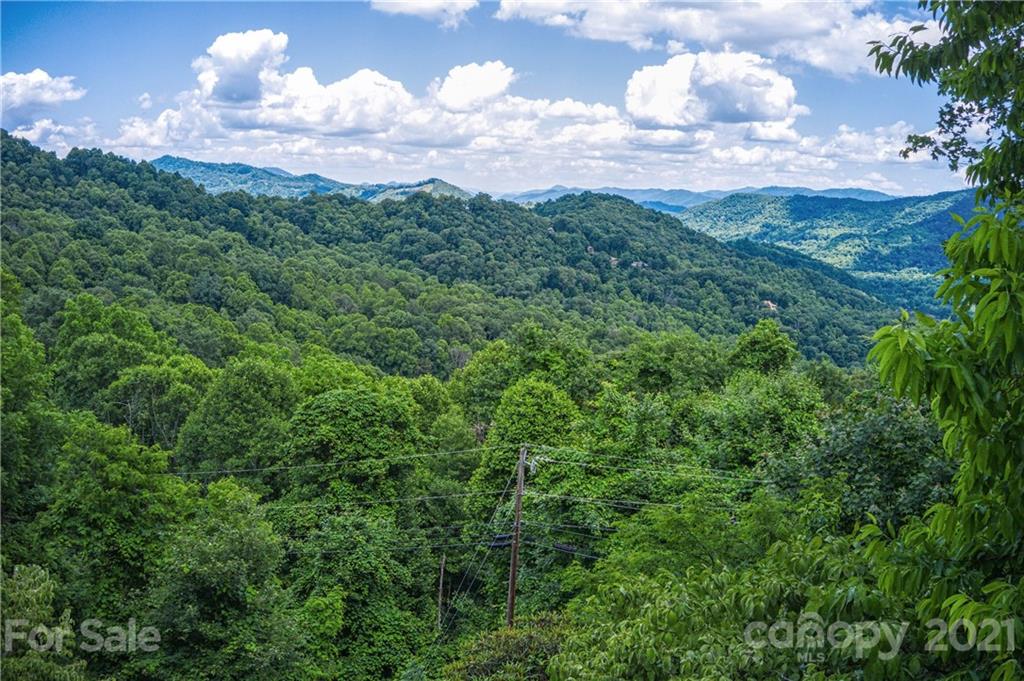 732 Laurel Ridge North Maggie Valley, NC 28751 - Photo 40 of 46 Gallery Image 40