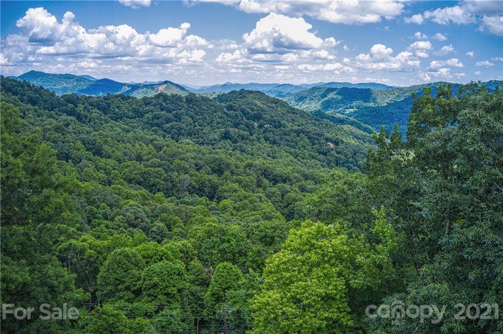 732 Laurel Ridge North Maggie Valley, NC 28751 - Photo 46 of 46 Gallery Image 46