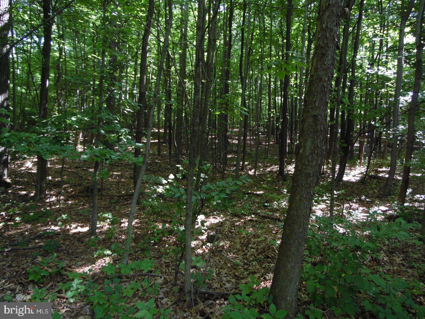 18 Mine Road Mertztown, PA 19539 - Photo 2 of 23 Gallery Image 2
