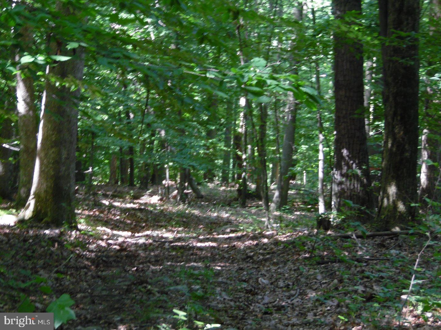 18 Mine Road Mertztown, PA 19539 - Photo 15 of 23 Gallery Image 15