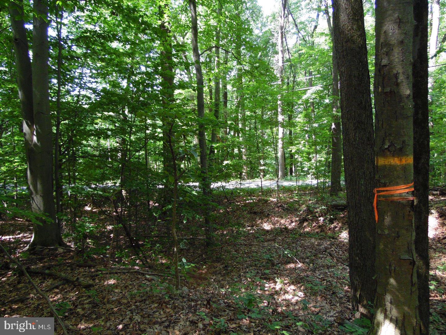 18 Mine Road Mertztown, PA 19539 - Photo 22 of 23 Gallery Image 22