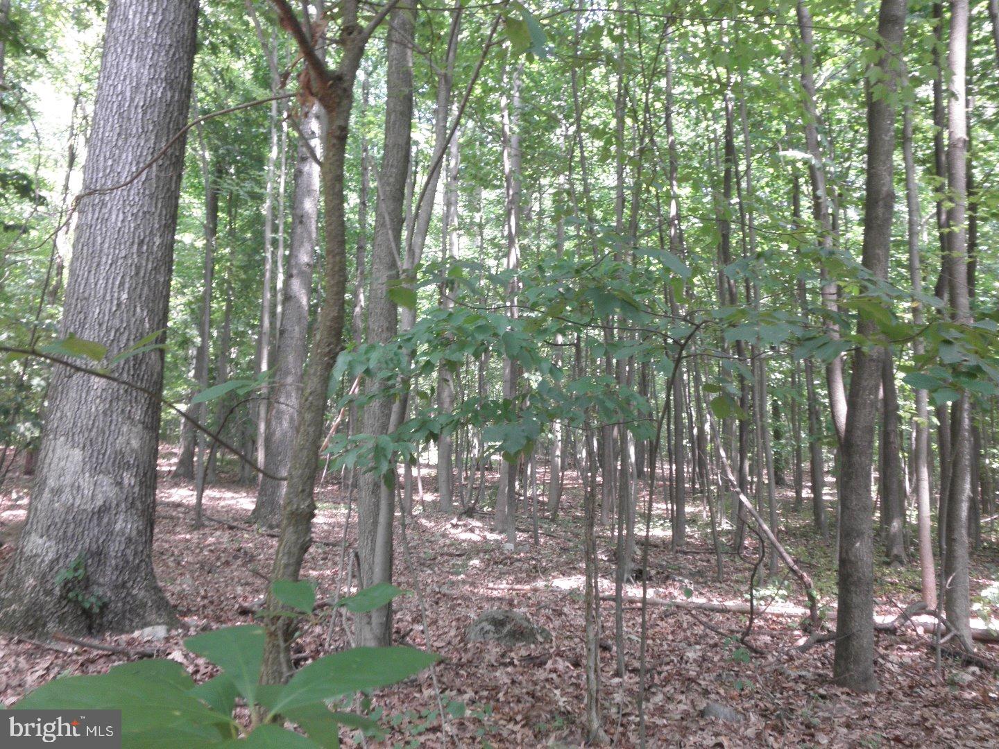 18 Mine Road Mertztown, PA 19539 - Photo 9 of 23 Gallery Image 9