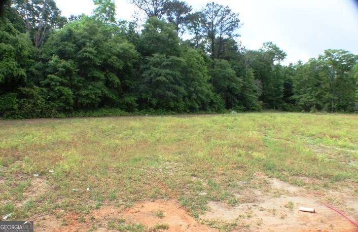 624 Ellie Circle Dublin, GA 31021 - Photo 6 of 12