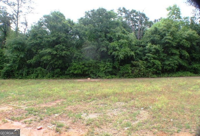 624 Ellie Circle Dublin, GA 31021 - Photo 8 of 12