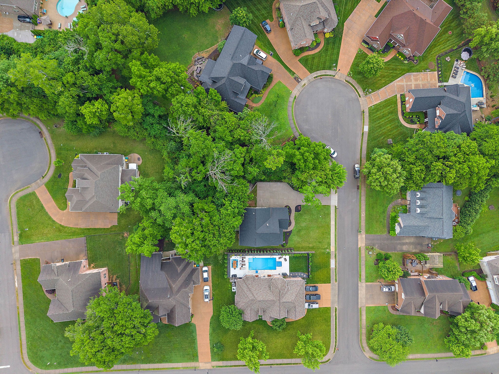 1003 Autumn Ridge Court Spring Hill, TN 37174 - Photo 39 of 42 Gallery Image 39