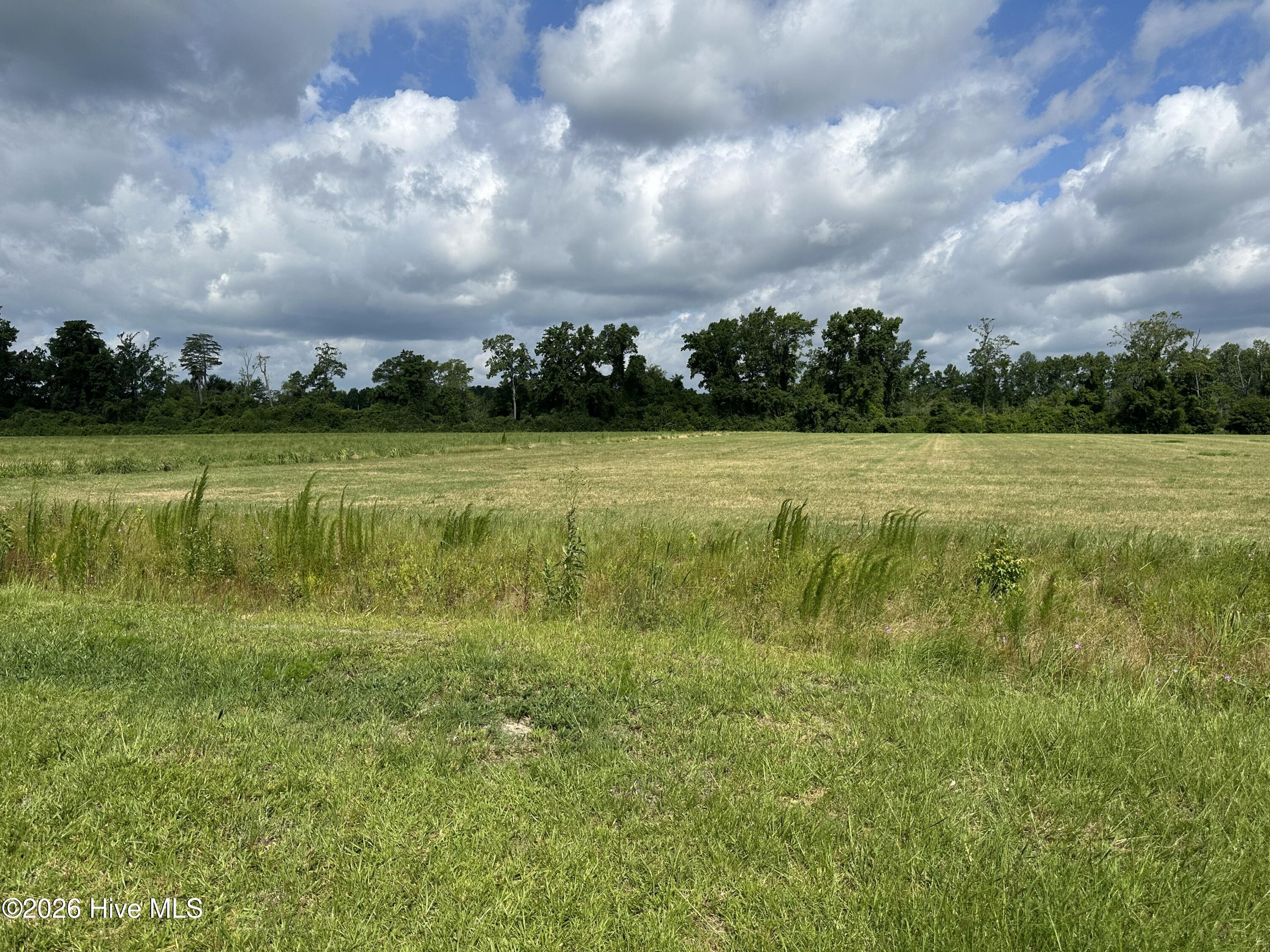 4750 Peacock Road Whiteville, NC 28472 - Photo 28 of 34