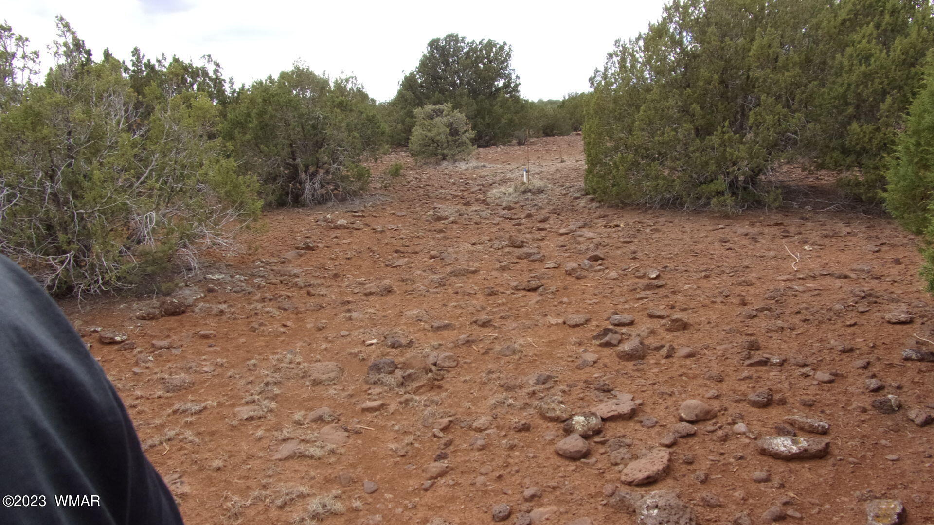 40 Co Road Springerville, AZ 85938 - Photo 36 of 63