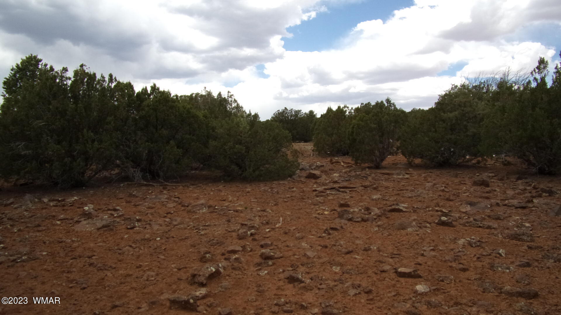 40 Co Road Springerville, AZ 85938 - Photo 39 of 63