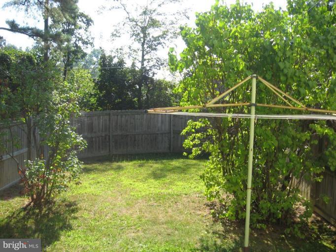 Back yard