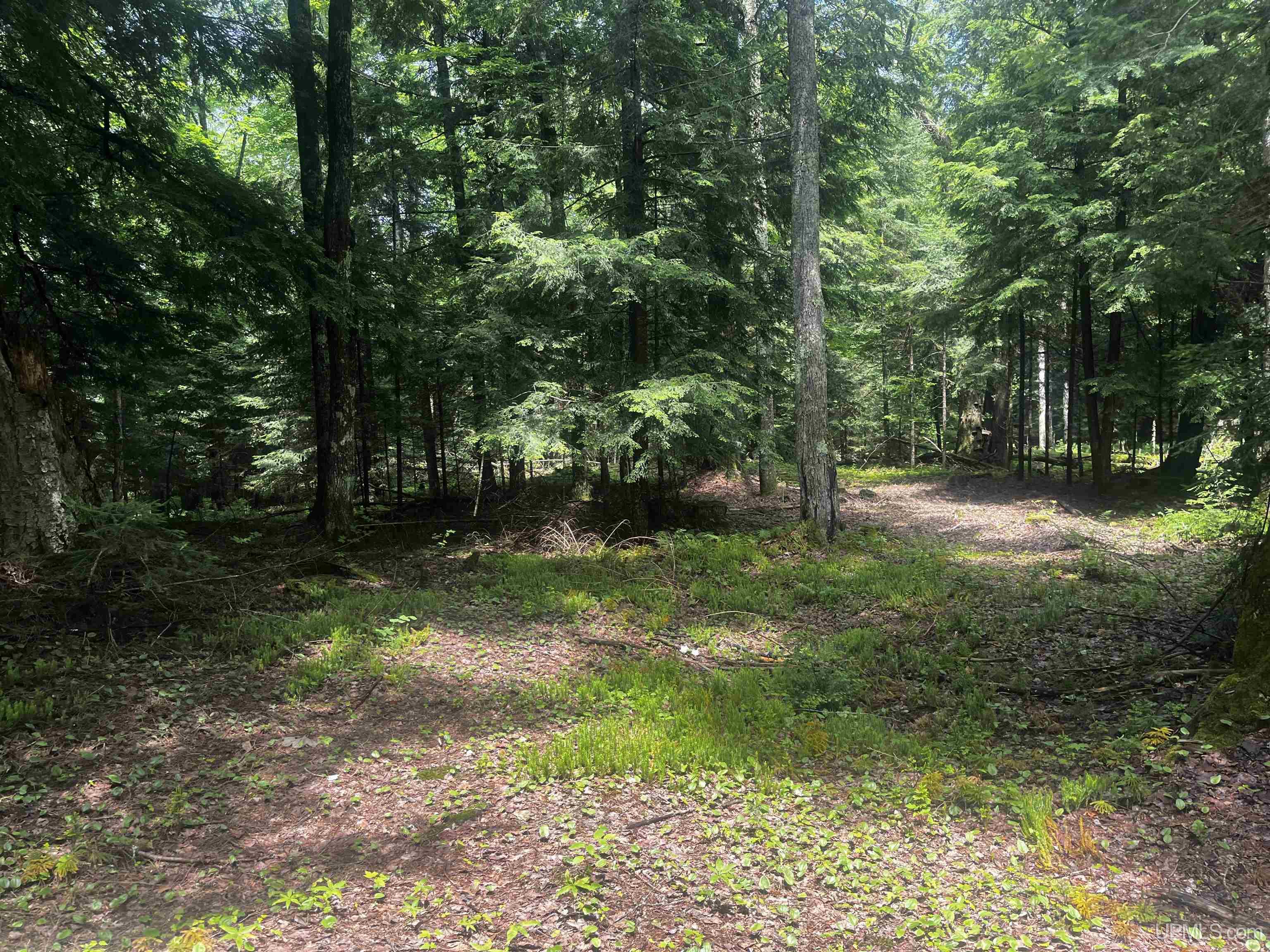 Parcel 1 Grant Lake Road Republic, MI 49879 - Photo 12 of 23