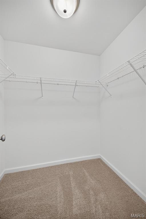 3075 Pirogue Street St. Charles, MO 63301 - Photo 35 of 48