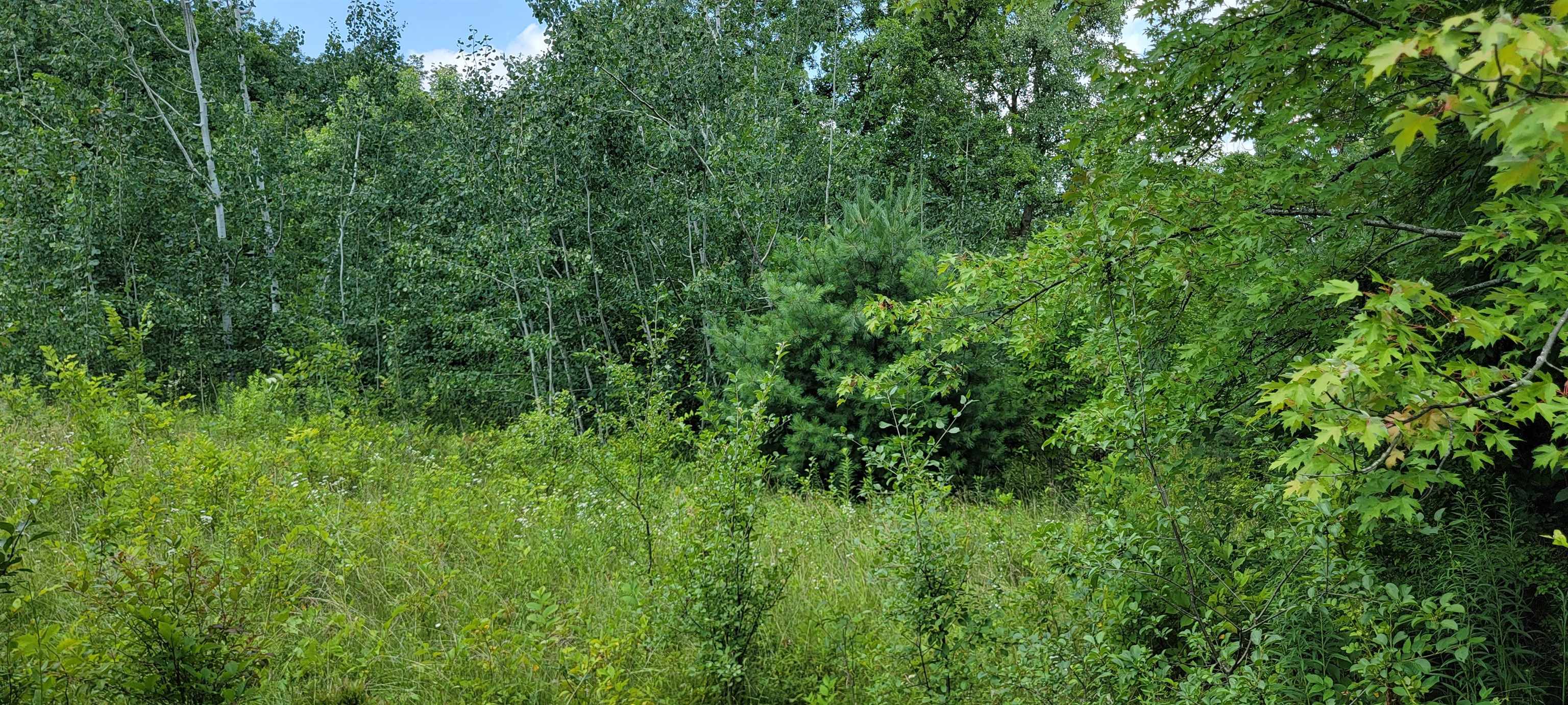 North Linden Road Clio, MI 48420 - Photo 2 of 8 Gallery Image 2