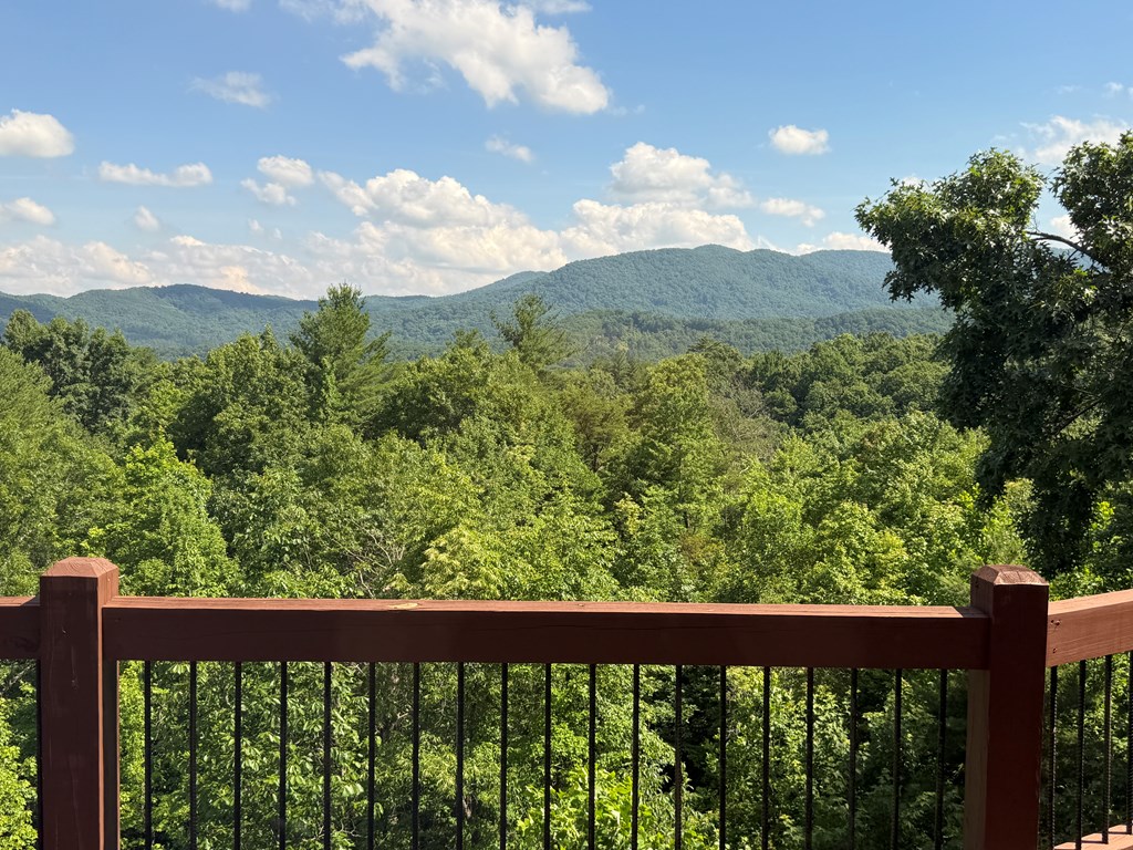 81 Sundance Ridge Epworth, GA 30541 - Photo 24 of 102 Big View of the Cohutta Wilderness Area