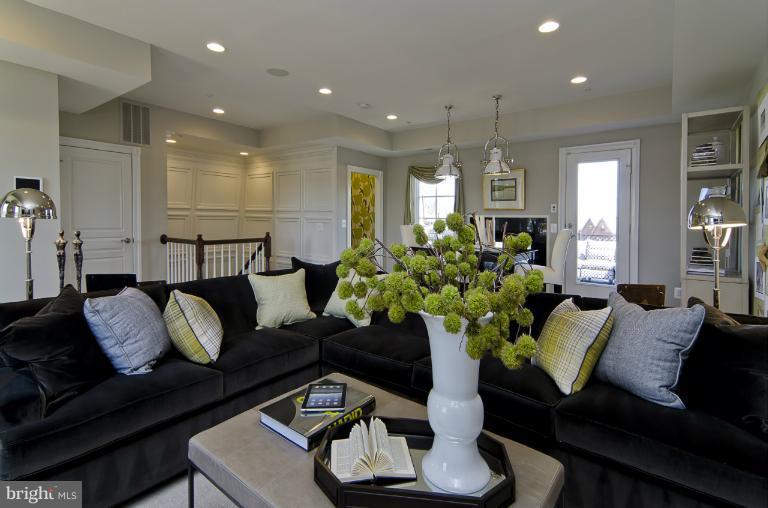 1407 Ridgeview Way Washington, DC 20007 - Photo 22 of 30 a living room with furniture and a potted plant