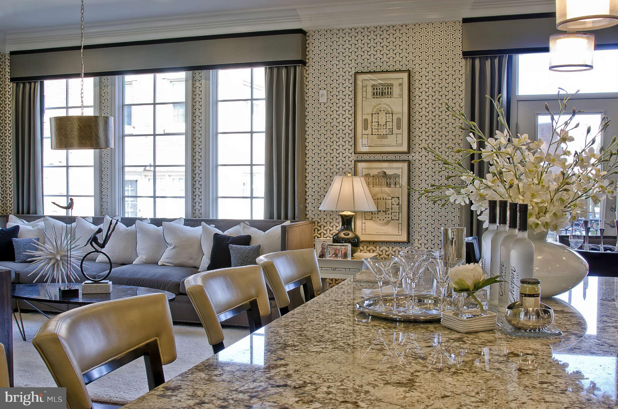 1407 Ridgeview Way Washington, DC 20007 - Photo 8 of 30 a living room with fireplace furniture and a large window