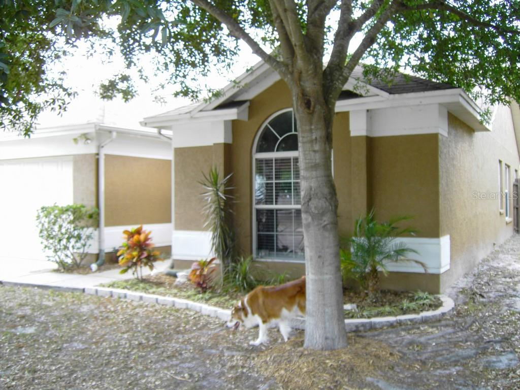 4907 Rambling Rose Place Tampa, FL 33624 - Photo 1 of 1