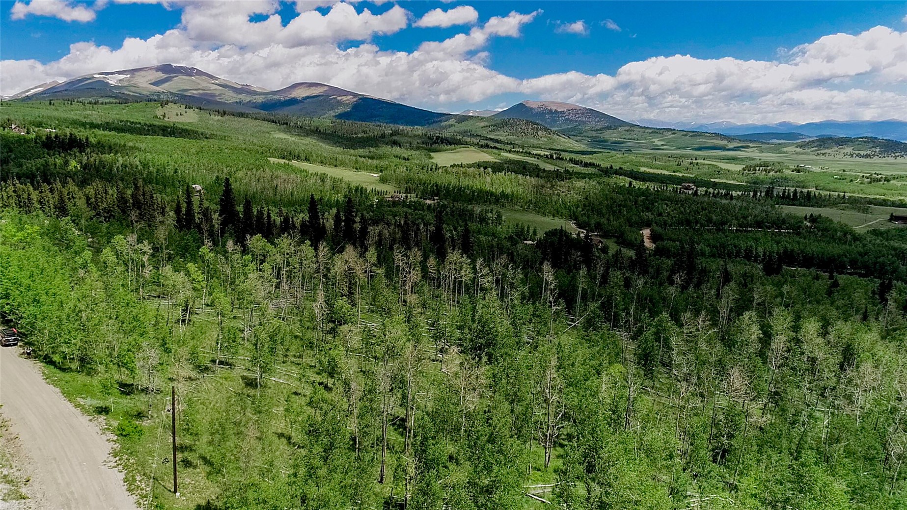 1047 Lumberjack Road Fairplay, CO 80440 - Photo 27 of 27 a view of a lush green forest with lots of trees