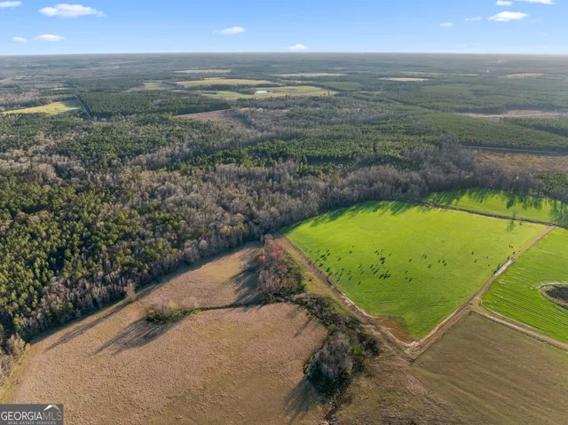 a view of a back yard of the house