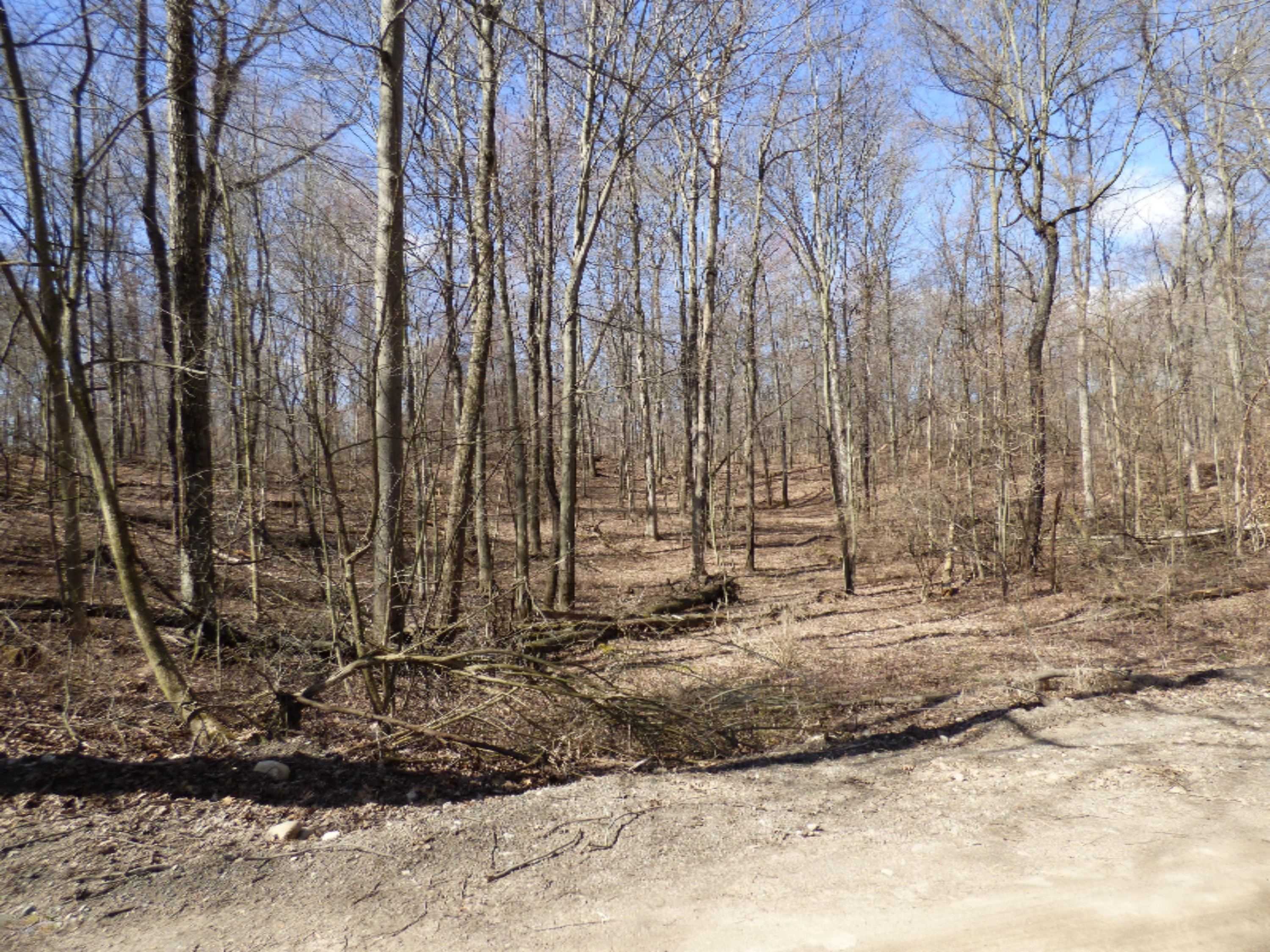 Conrad Road Edwardsburg, MI 49112 - Photo 4 of 13 P1020605
