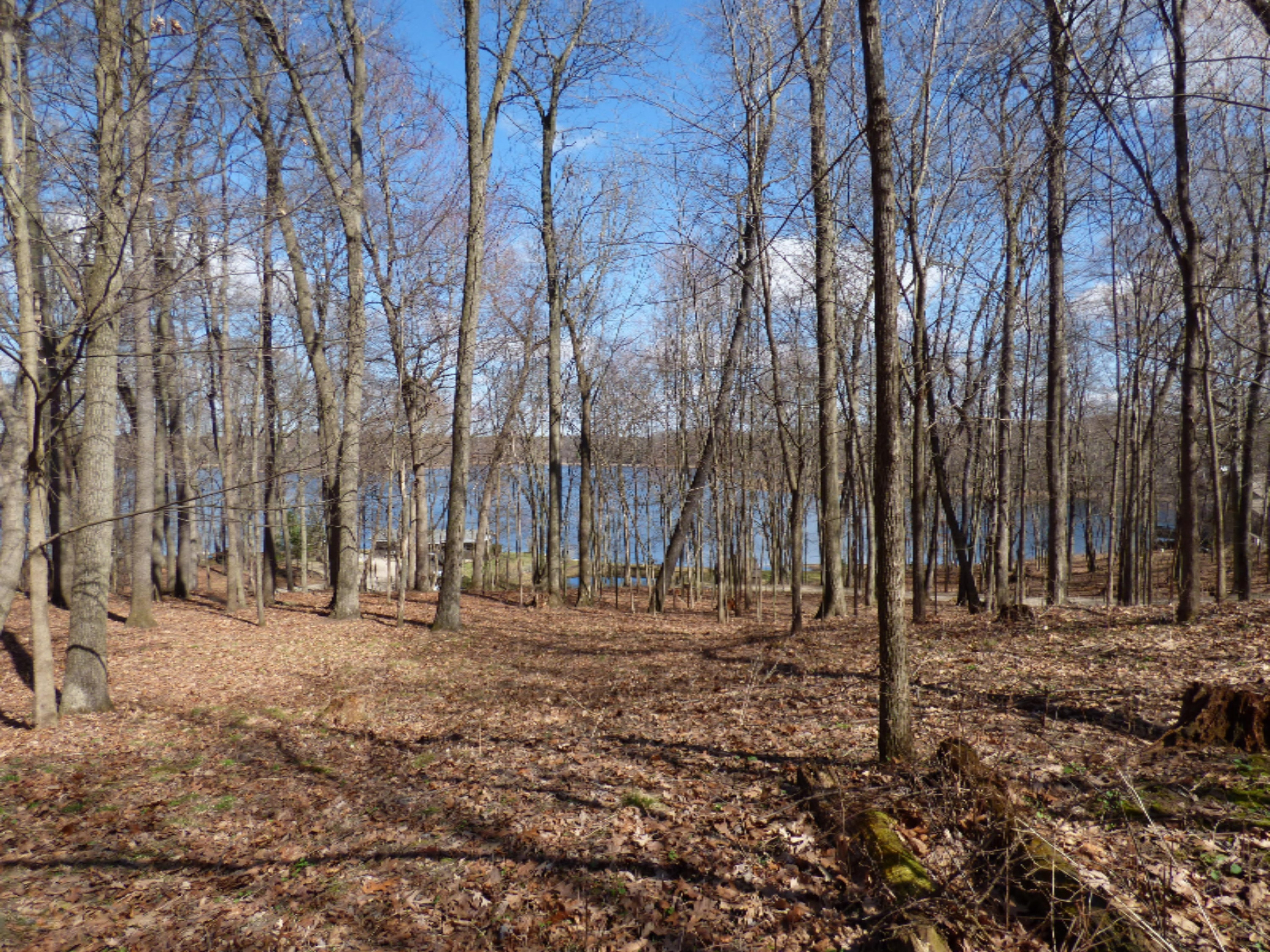 Conrad Road Edwardsburg, MI 49112 - Photo 8 of 13 P1020609