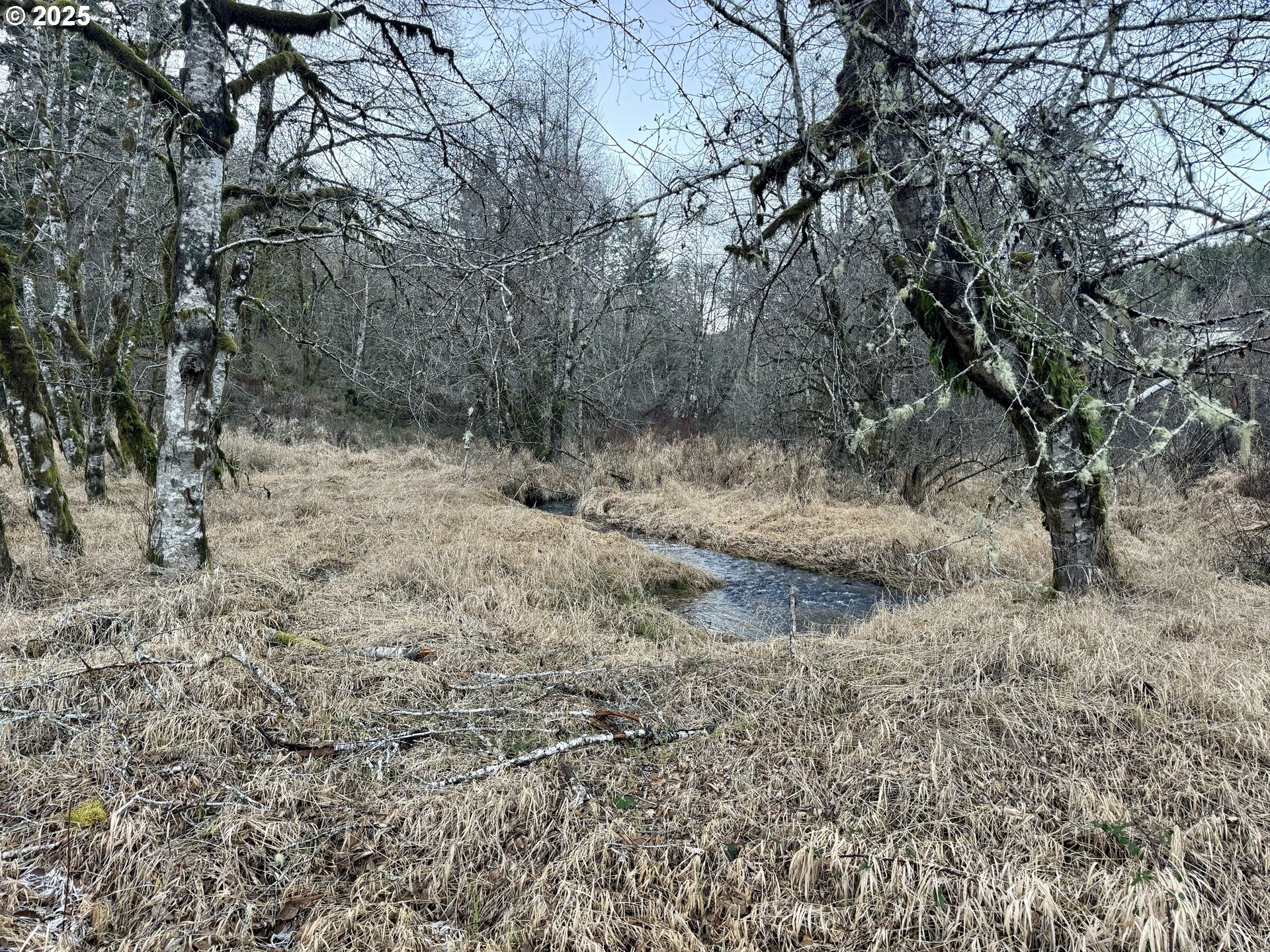 Southwest Pumpkinseed Road Willamina, OR 97396 - Photo 5 of 30 Gallery Image 5