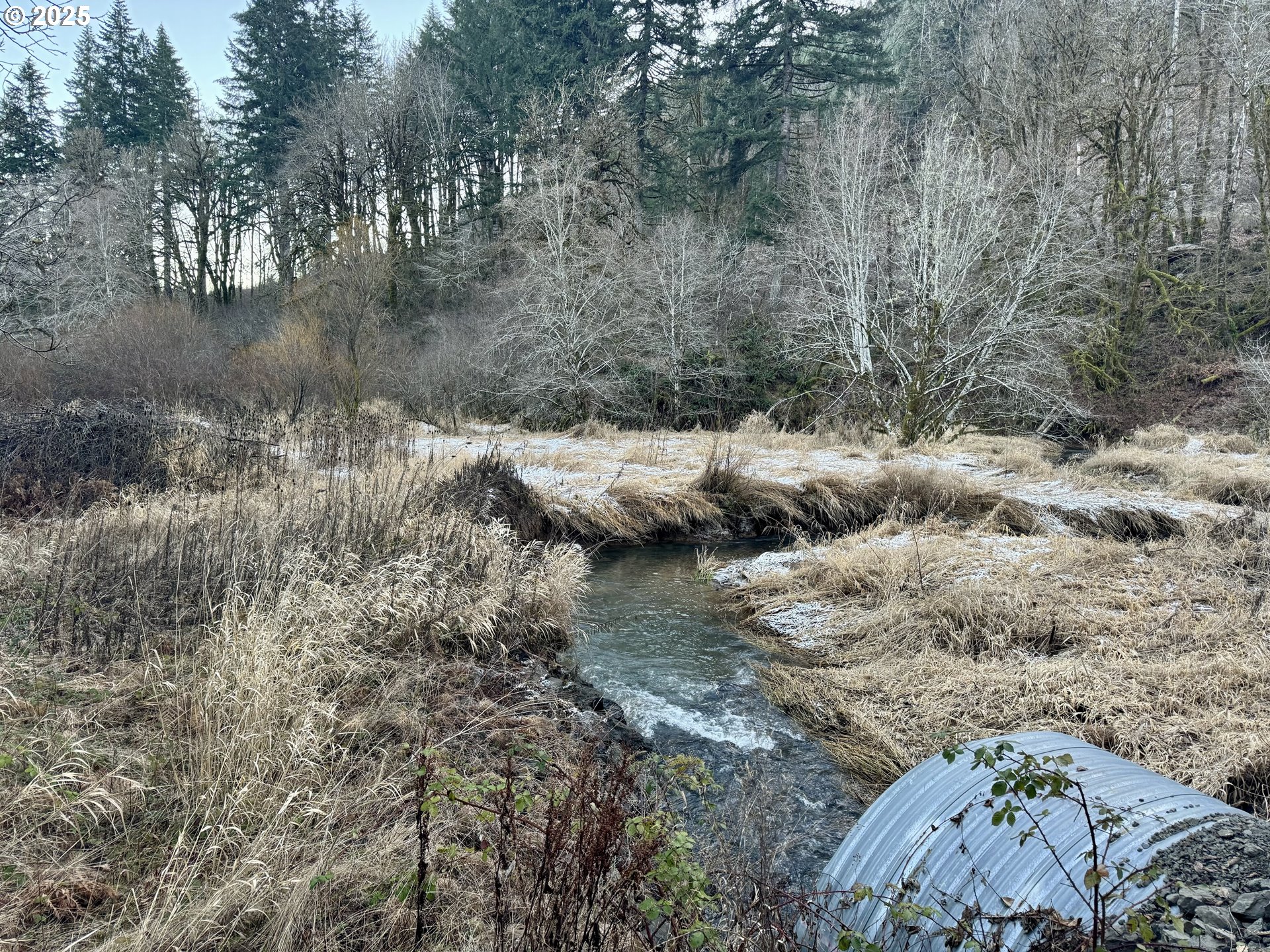 Southwest Pumpkinseed Road Willamina, OR 97396 - Photo 6 of 30 Gallery Image 6