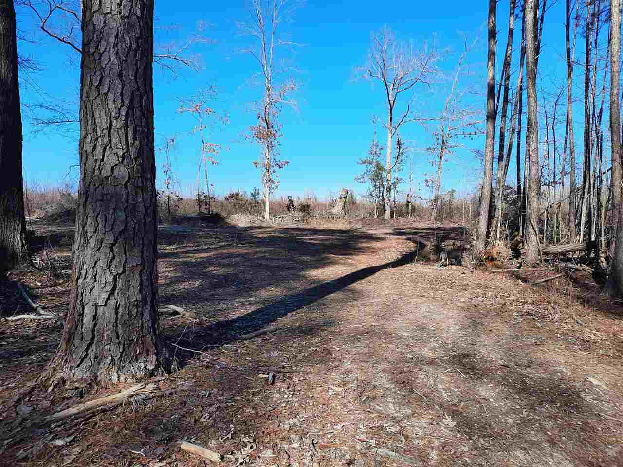 Pilot Riley Road Zebulon, NC 27597 - Photo 26 of 26 Photo 29