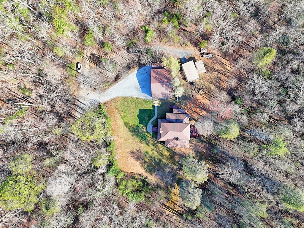 356 Mill Creek Acres Blue Ridge, GA 30513 - Photo 3 of 94