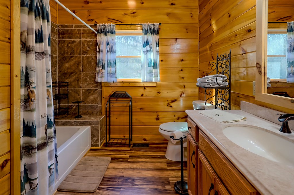 356 Mill Creek Acres Blue Ridge, GA 30513 - Photo 60 of 94