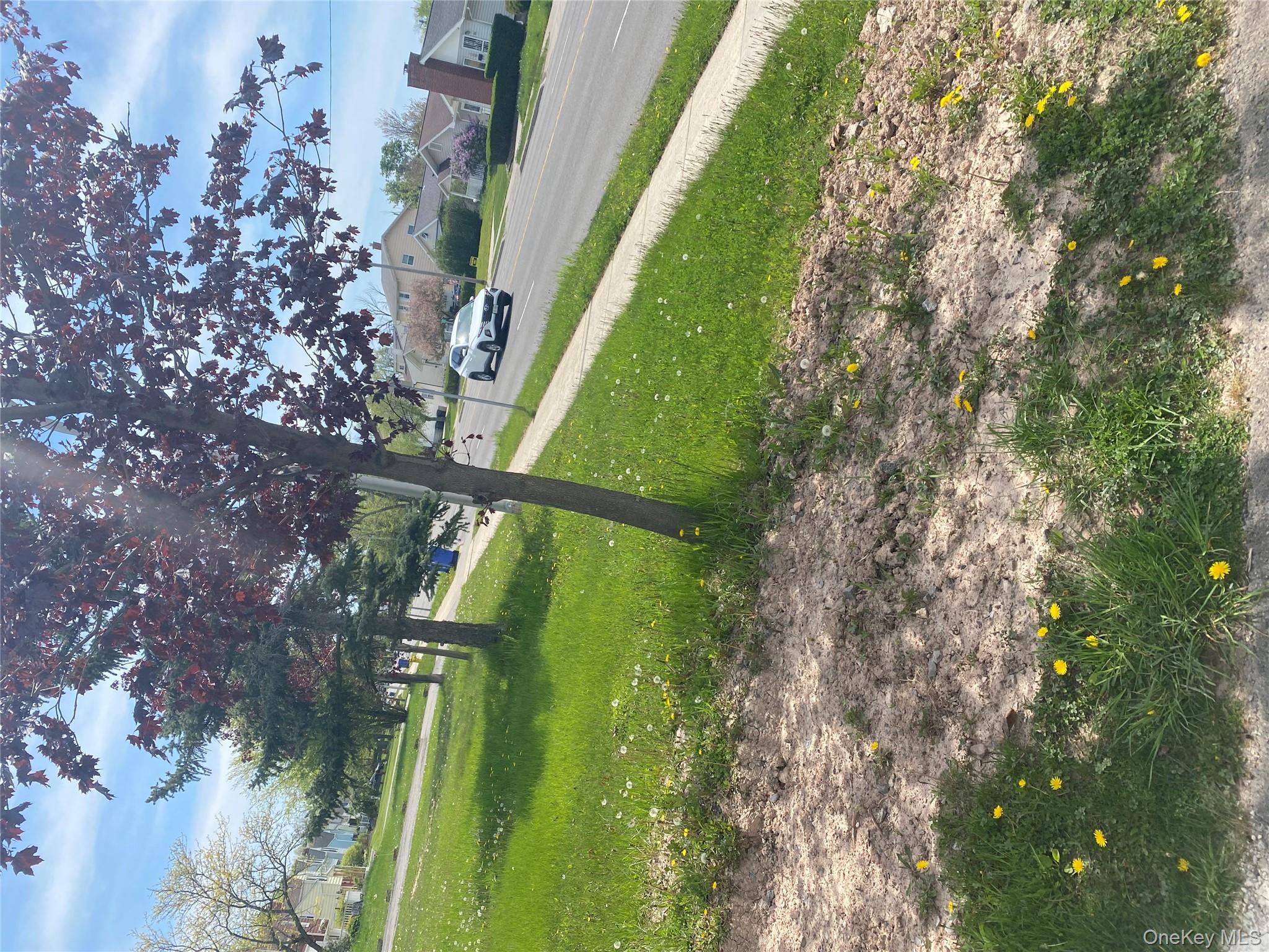 321 Niagara Falls Boulevard Buffalo, NY 14226 - Photo 2 of 13 a view of a park