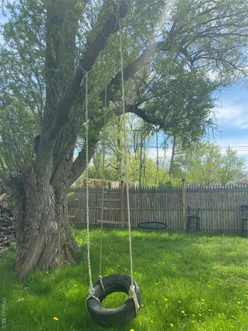 a view of a yard with a tree