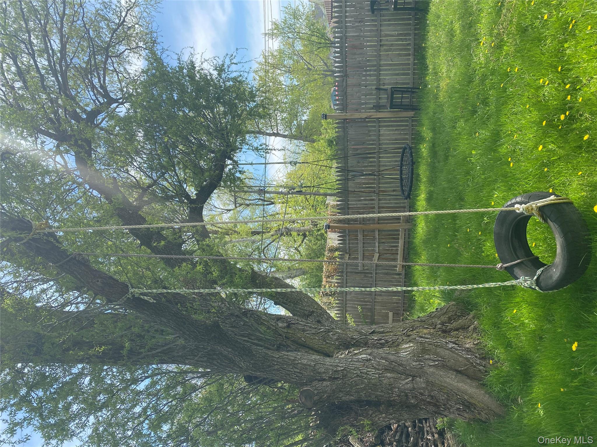 321 Niagara Falls Boulevard Buffalo, NY 14226 - Photo 9 of 13 a view of a yard with a tree