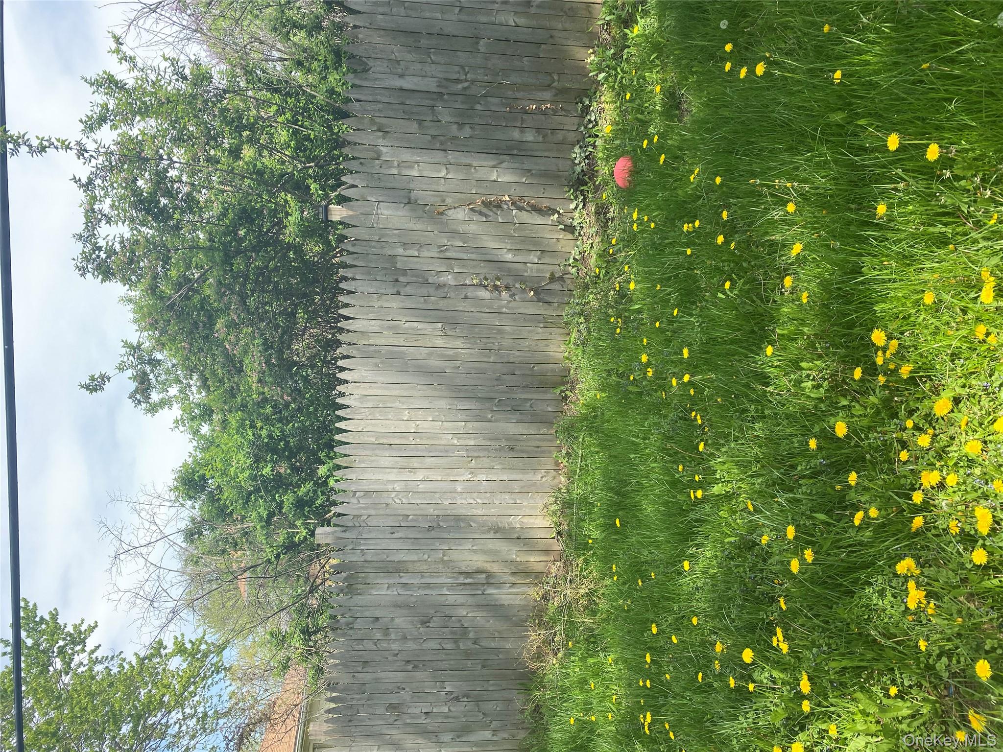 321 Niagara Falls Boulevard Buffalo, NY 14226 - Photo 10 of 13 a backyard of a house with lots of green space