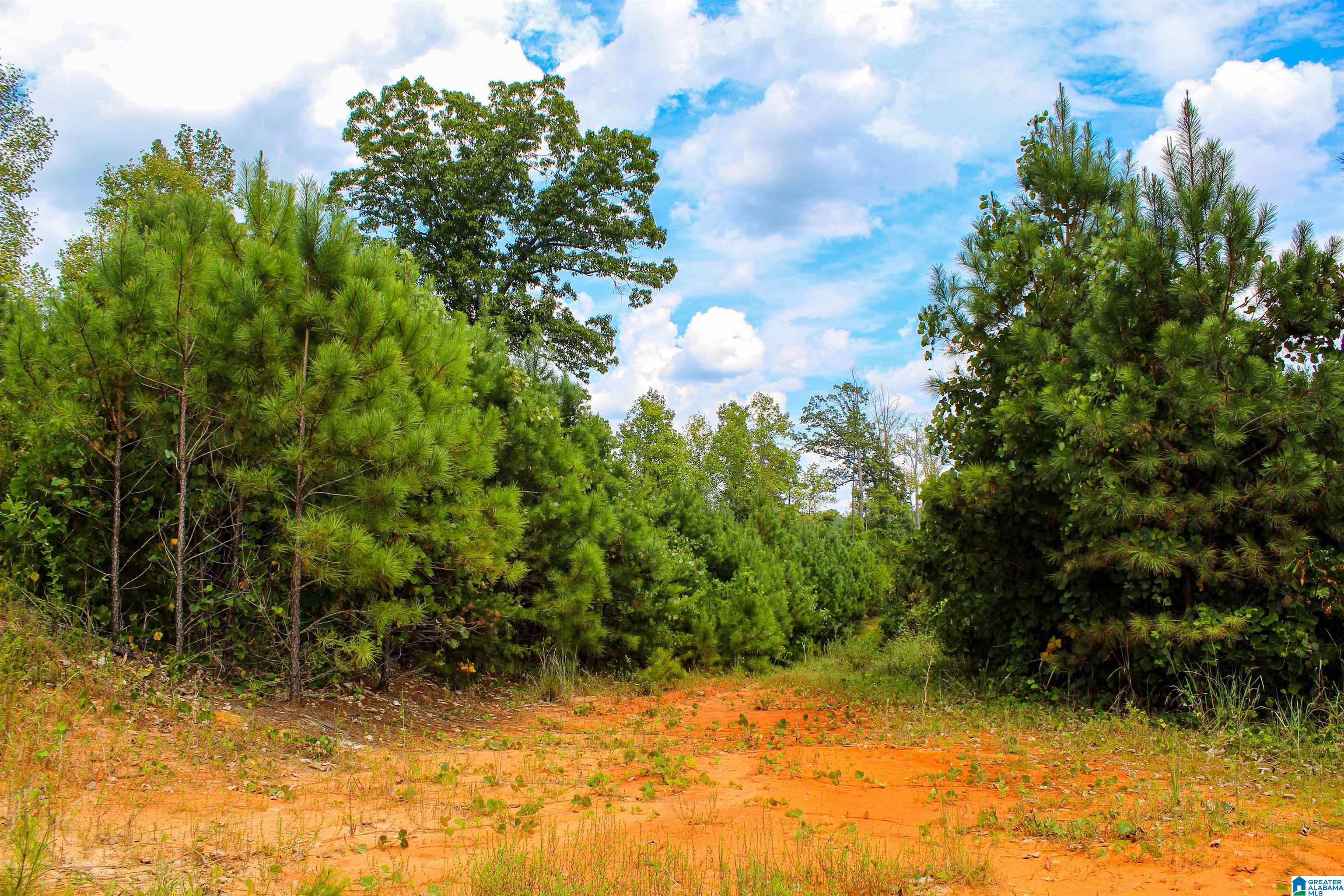 1 Highway 13, Unit 1 Berry, AL 35546 - Photo 36 of 52