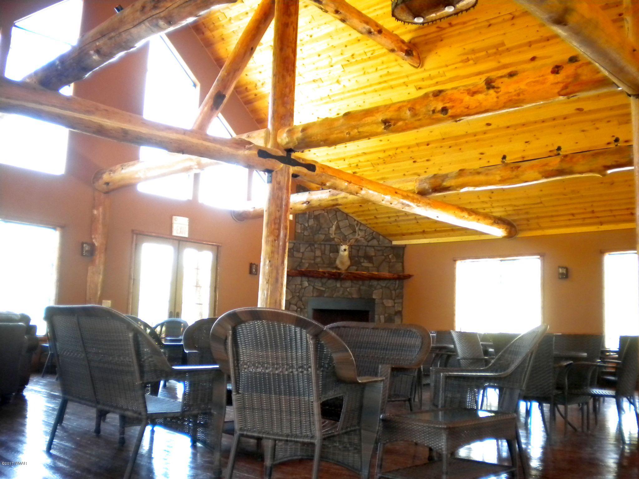2270 Overgaard Springs Loop Overgaard, AZ 85933 - Photo 23 of 32 Gallery Image 23