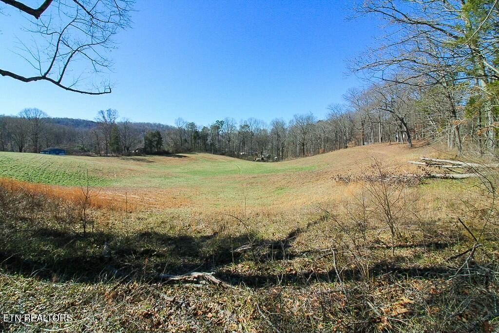 351 Blacks Ferry Road Knoxville, TN 37931 - Photo 22 of 29 Gallery Image 22