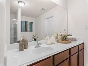 a bathroom with a sink and a mirror