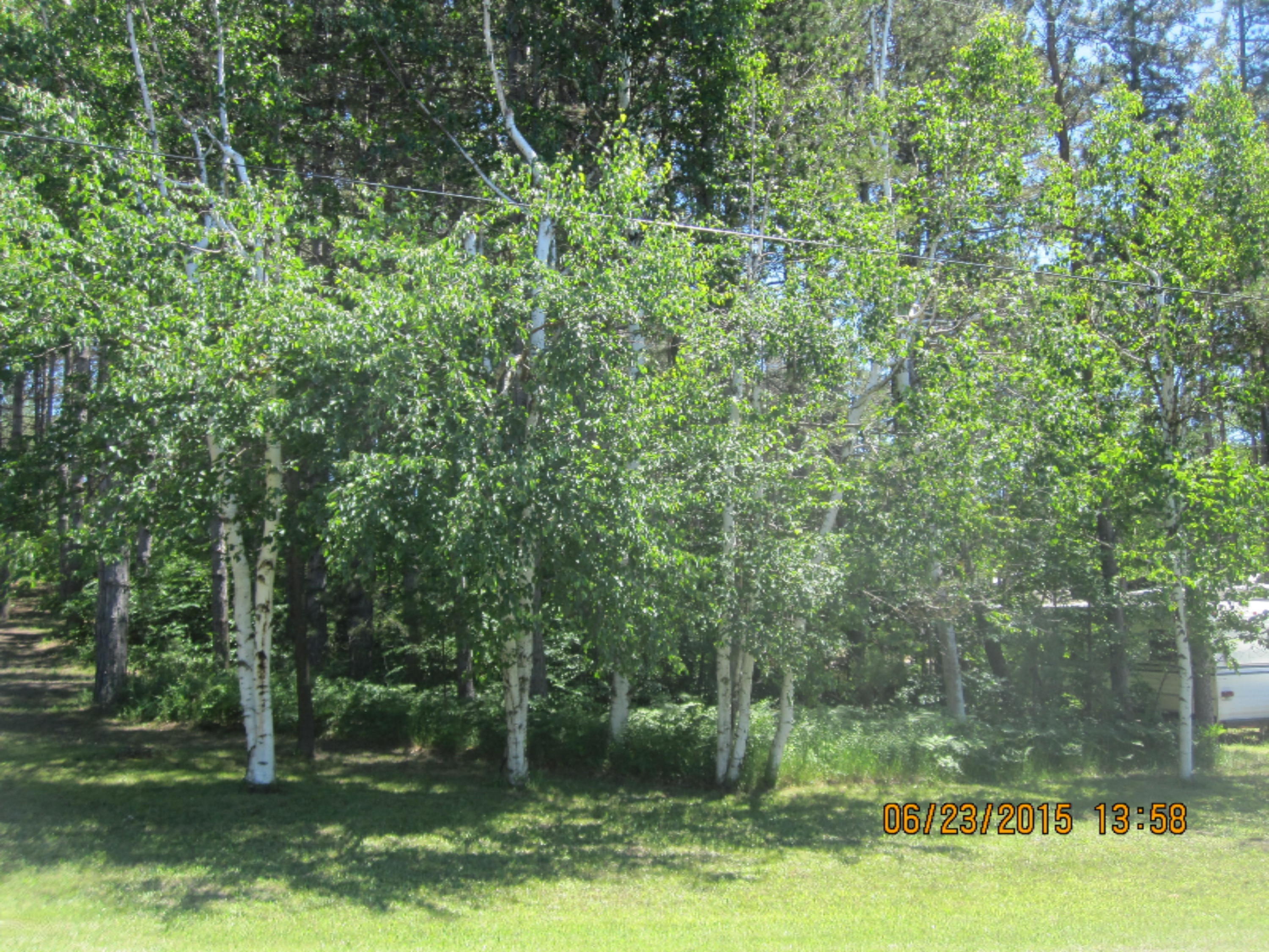 -1698 North Ridge Road Mears, MI 49436 - Photo 1 of 11 spykmailART 381