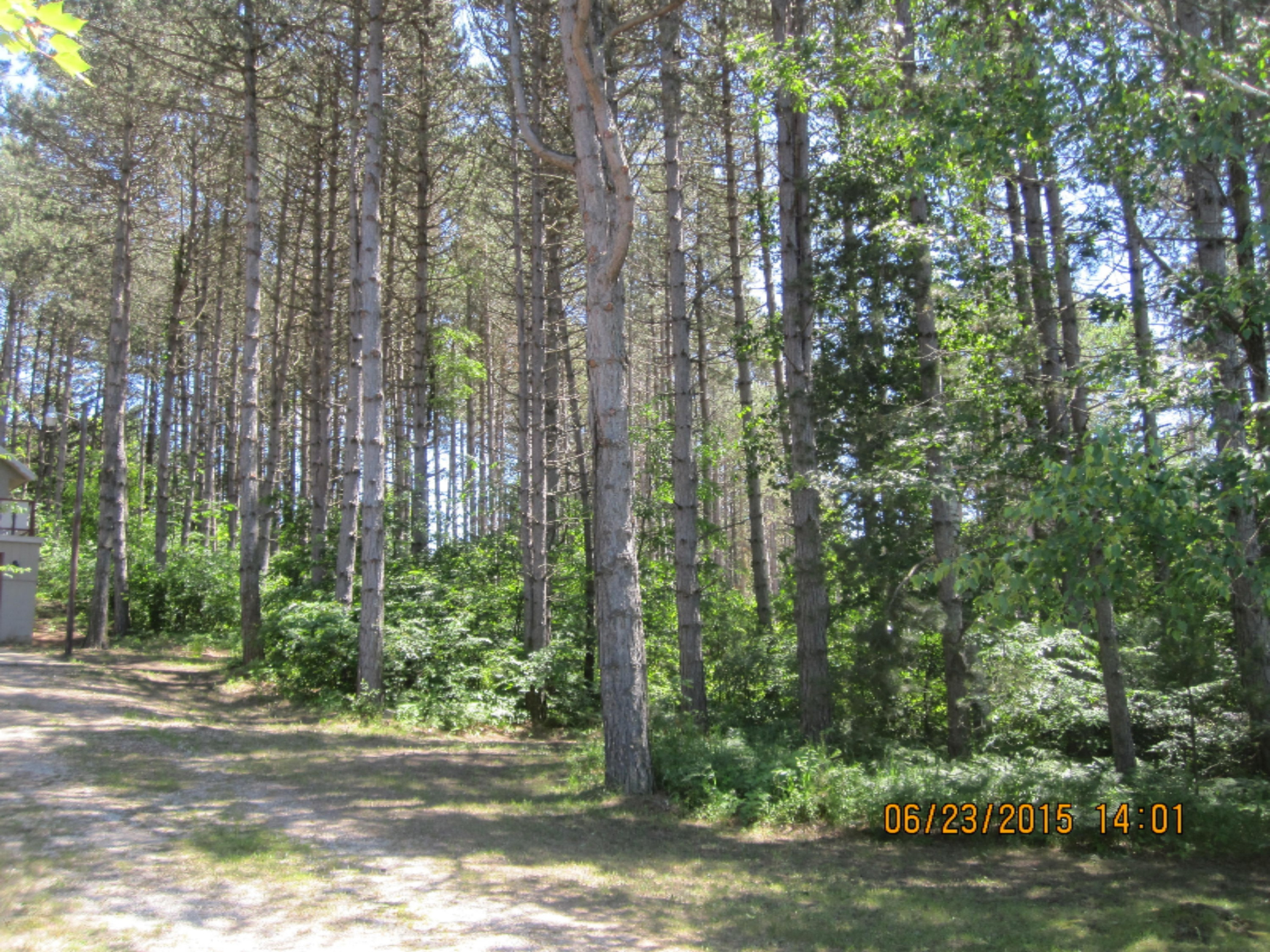 -1698 North Ridge Road Mears, MI 49436 - Photo 4 of 11 spykmailART 386