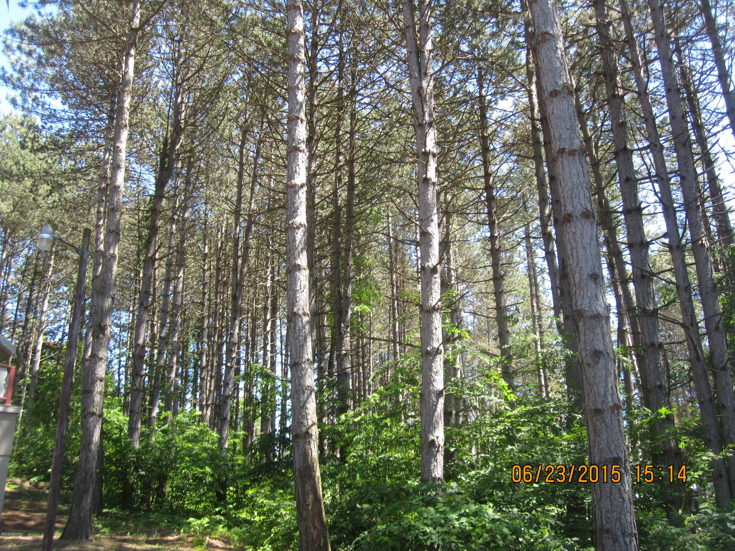 -1698 North Ridge Road Mears, MI 49436 - Photo 8 of 11 spykmailART 392