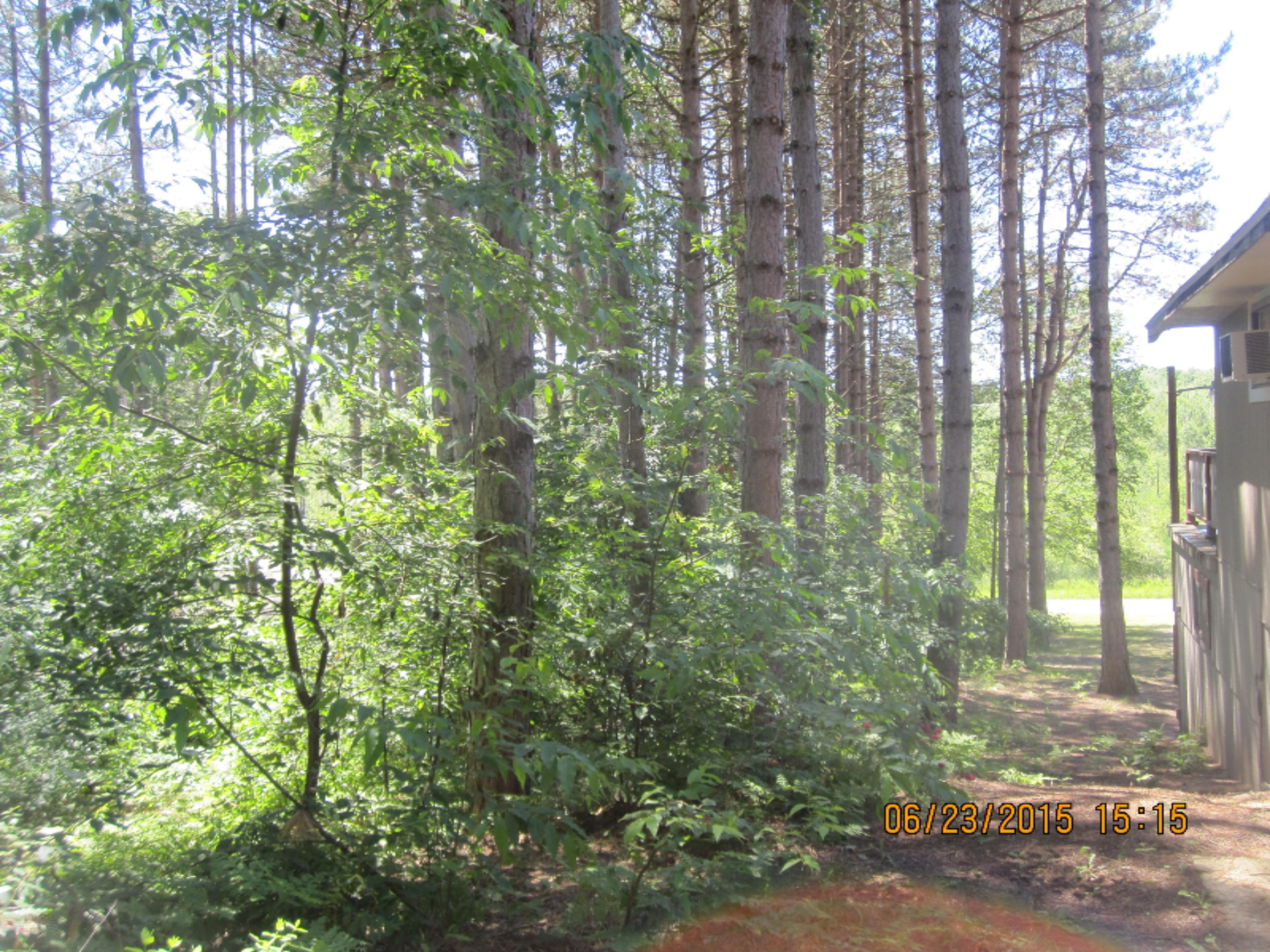 -1698 North Ridge Road Mears, MI 49436 - Photo 9 of 11 spykmailART 393