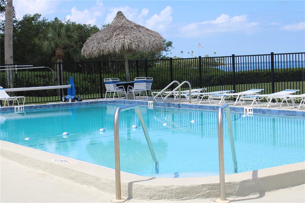 335 Windrush Loop, Unit 335 Tarpon Springs, FL 34689 - Photo 16 of 18 a view of a swimming pool with a patio and a yard