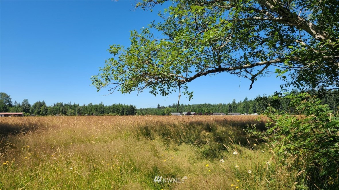 140 Heise Road South Elma, WA 98541 - Photo 4 of 8 Gallery Image 4