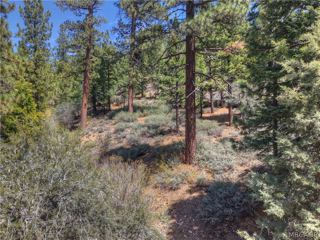 1099 Canyon Road Fawnskin, CA 92333 - Photo 26 of 39 a view of a forest with trees