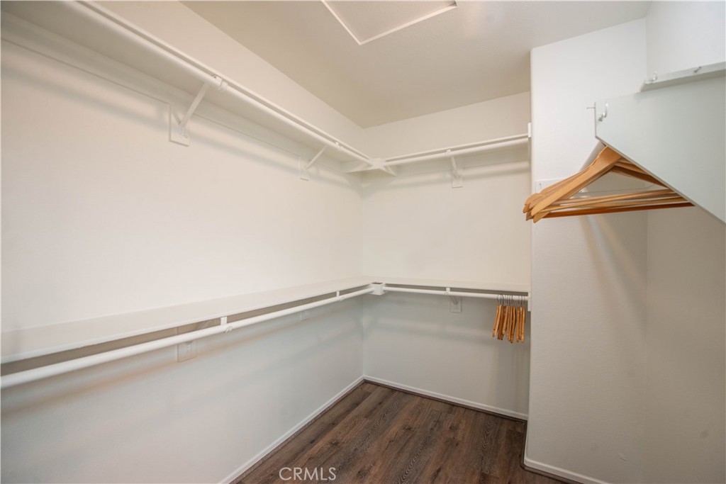 25829 Blake Court Stevenson Ranch, CA 91381 - Photo 24 of 33 Primary Walk In Closet