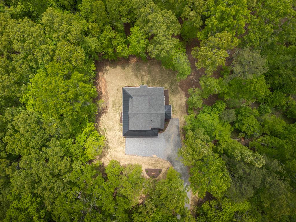 375 Ridge Brook Drive Morganton, GA 30560 - Photo 33 of 34 an aerial view of a house with a yard