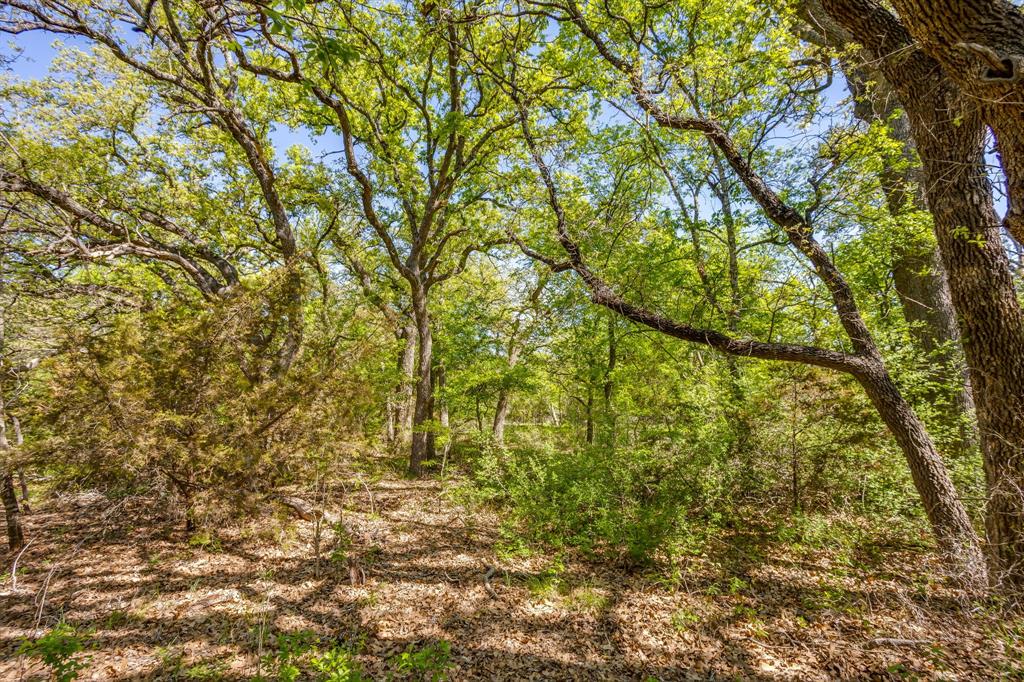 Tbd Teague Road Jacksboro, TX 76458 - Photo 9 of 33